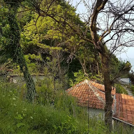 Atlantic Apartman Bjala